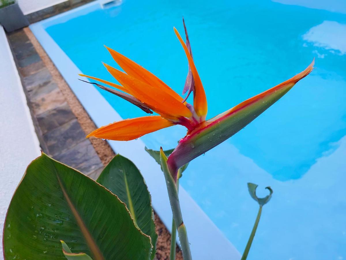 Golden Square Villa & Private Pool Flic-en-Flacq 外观 照片